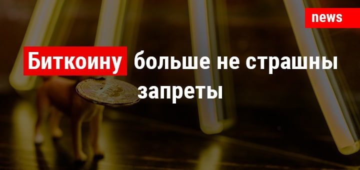 Биткоину больше не страшны запреты