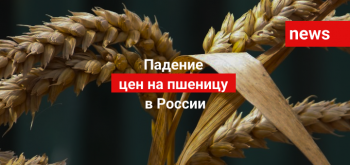 Падение цен на пшеницу в России