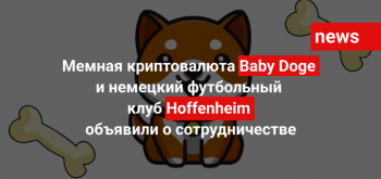 Мемная криптовалюта Baby Doge и немецкий футбольный клуб Hoffenheim объявили о сотрудничестве