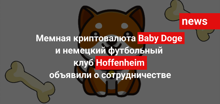 Мемная криптовалюта Baby Doge и немецкий футбольный клуб Hoffenheim объявили о сотрудничестве