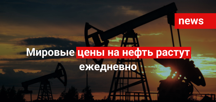 Мировые цены на нефть растут ежедневно