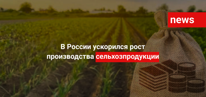 В России ускорился рост производства сельхозпродукции
