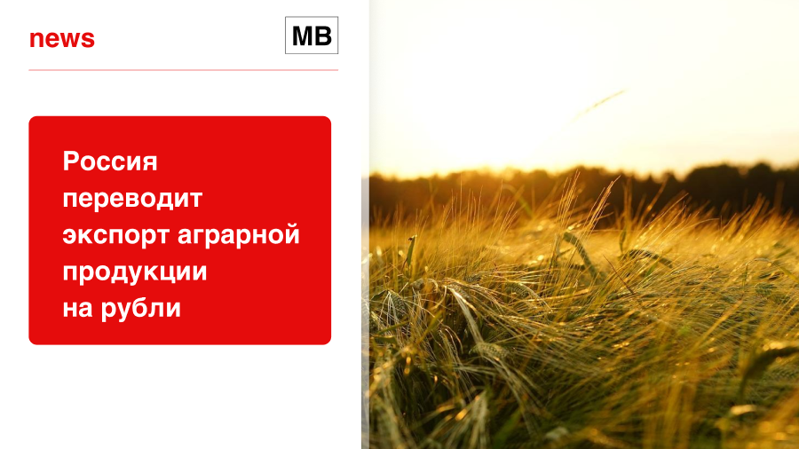 Россия переводит экспорт аграрной продукции на рубли
