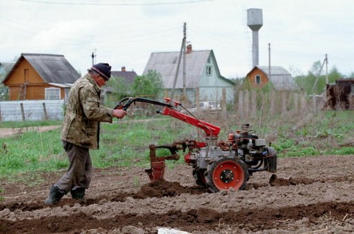 Личным подсобным хозяйствам выдадут льготные кредиты