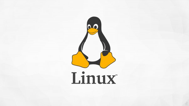 Linux создают организацию для выпуска криптовалютного кошелька