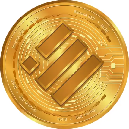 What is Binance USD used for?