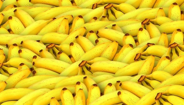 Fesco запустит контейнерную линию для поставки эквадорских бананов в Россию