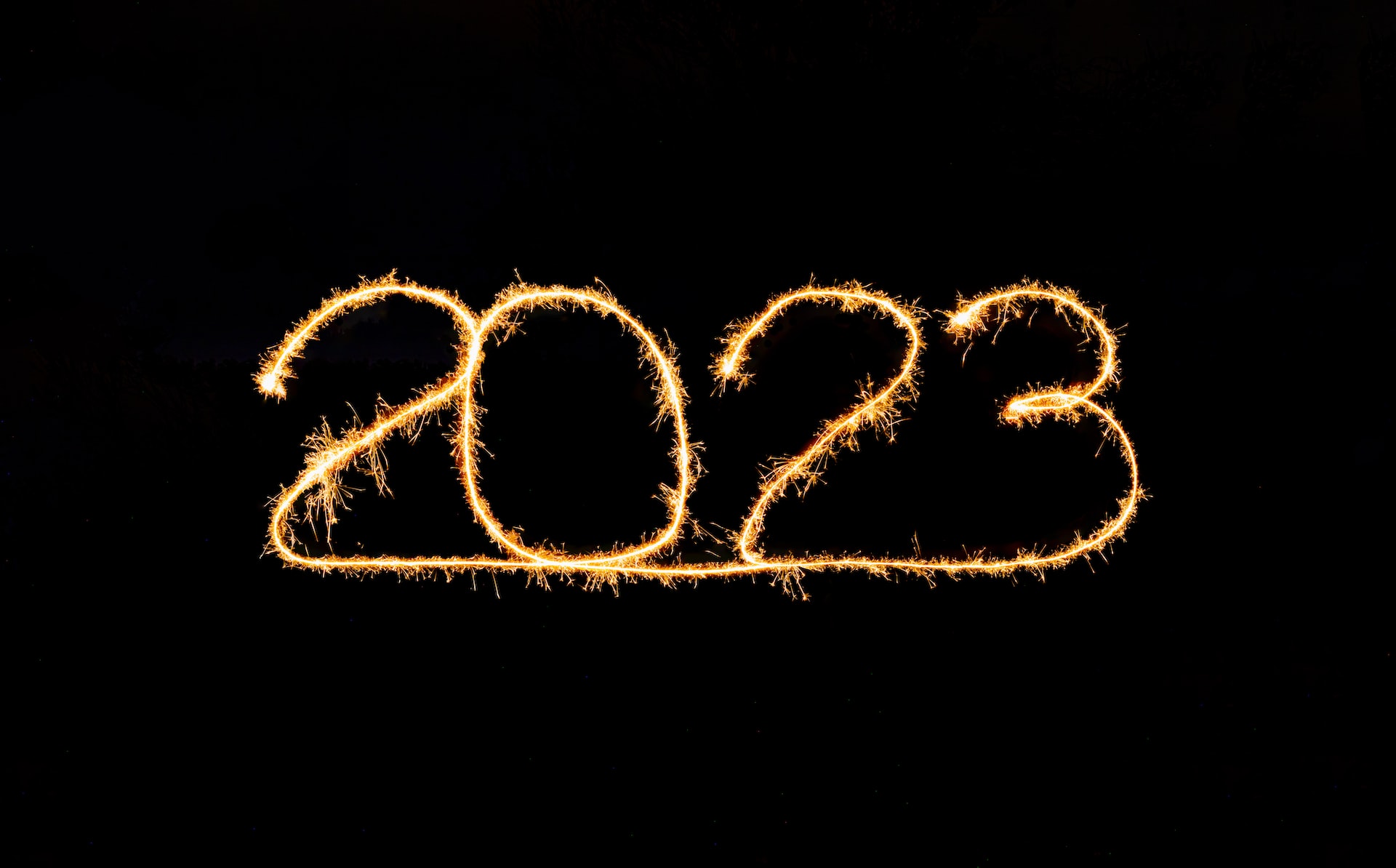 Всё о символе 2023 года: Чёрный Водяной Кролик